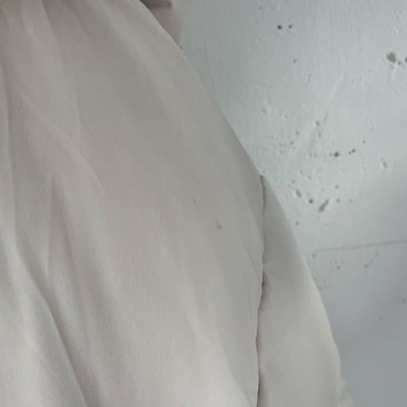 Aritzia Super Puff in Matte Pearl - Picture 8 of 10